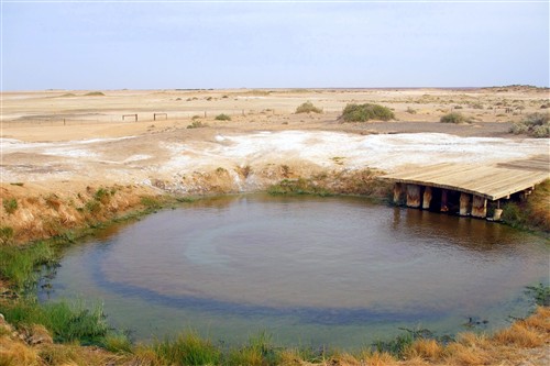 Wabma Kadarbu mound springs