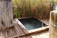 Coward Springs spa
