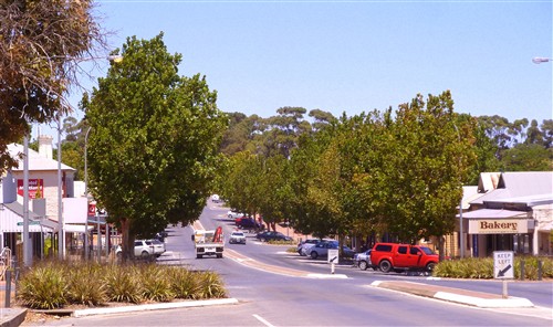 Maitland