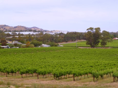 View over Rowland Flat