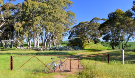 Mawson Trail