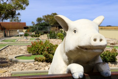 Guarding the putt putt course
