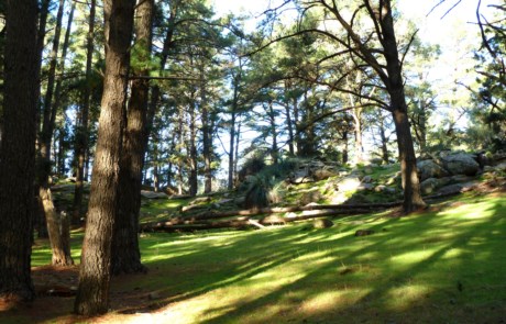 Rocky Paddock