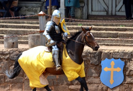 The knight and his steed